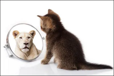 Ce soir-là, durant votre sommeil, vous faites un étrange rêve. Vous ne comprenez pas vraiment la signification.