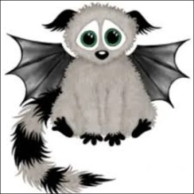 De quelle espèce est Iggy, notre petit animal préféré ?