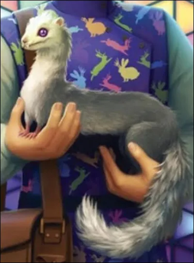 De quelle espèce est le petit animal dElwin ?