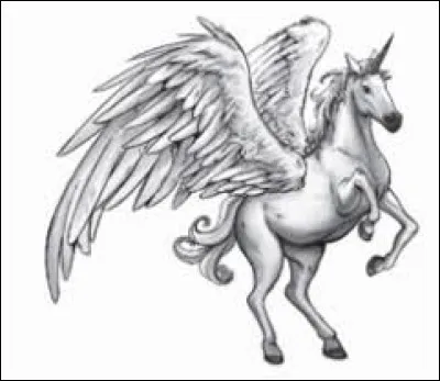 Comment sappellent les jumeaux Alicorne ?