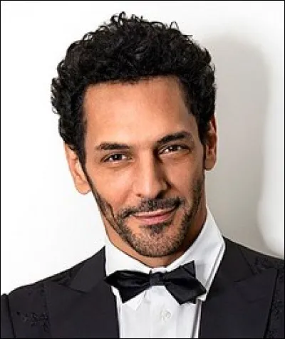 Quel est cet acteur qui interprète avec brio Largo Winch au cinéma ?