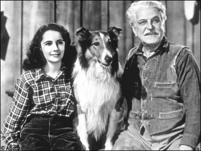 De quel film s'agit-il ?