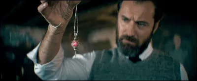 En quel bois est sa baguette ?