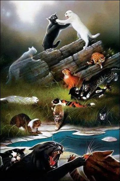 Une lune avant ton baptême, le clan de la Rivière attaque ! 
Que fais-tu ?