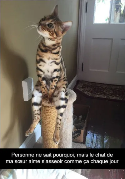 Conjuguez et traduisez le verbe s'asseoir à la 2ème personne du pluriel de l'impératif