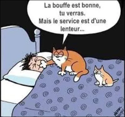 Quelle est la traduction de : dormons !