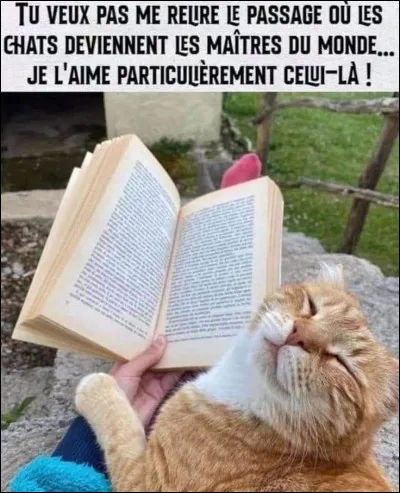 Quelle est la traduction de : "lis le livre !"