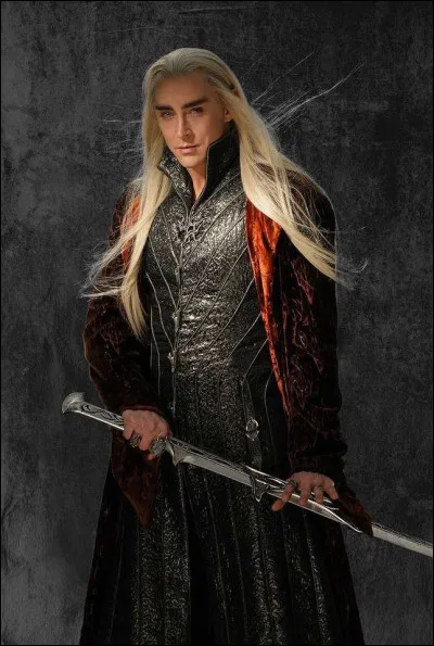 Après l'installation de Sauron au sud de la forêt de Grand'Peur, à proximité de quelle ville le roi elfe s'installe-t-il avec son peuple ?