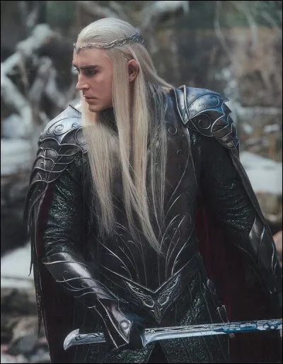 À quelle bataille participent Thranduil et son peuple pendant la guerre de l'Anneau ?