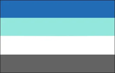 Quel est ce drapeau ?