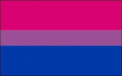 Quel est ce drapeau ?