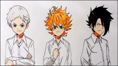 Comment s'appellent-ils respectivement ?