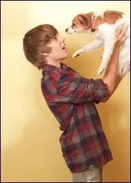 Pour finir, quelle est la race du chien au Bieber ?