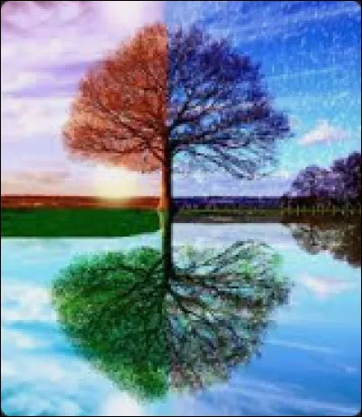 Quelle est ta saison préférée ?