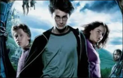 À quel personnage t'identifies-tu le plus dans ''Harry Potter'' ?