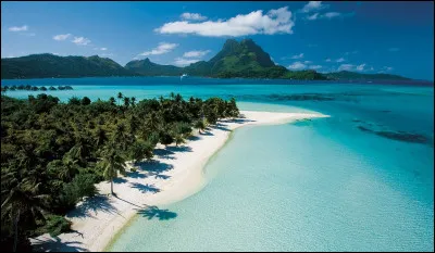 L'AJ Auxerre, le SM Caen puis Atromitos. Une carrière singulière pour ce Tahitien aux 22 sélections.