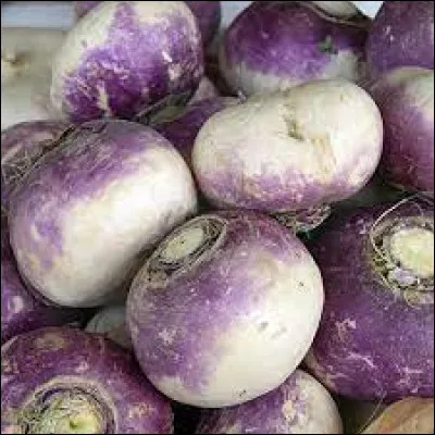 Pour le suivant, ça sera un légume. C'est un légume avec une chair blanche, ses feuilles sont comestibles. Il appartient à la famille des Brassicaceae, tout comme le navet par exemple. Vous avez tous les indices, à vous de jouer !
