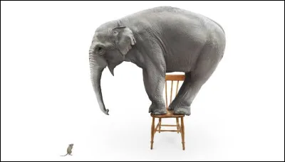 Est-ce que les éléphants ont peur des souris ?