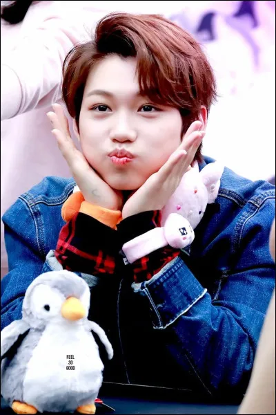 Quel est le vrai nom de Felix ?