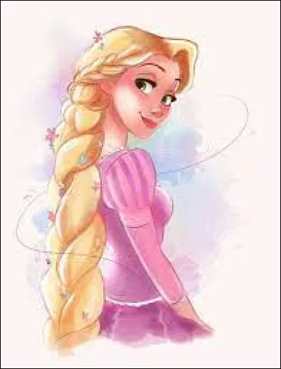 Quelle est cette princesse dans l'univers "Disney" ?