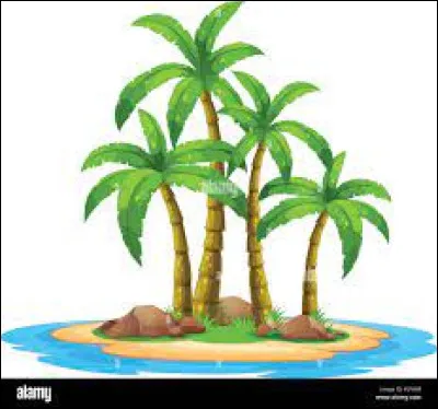 Quel objet prendriez-vous sur une île ?