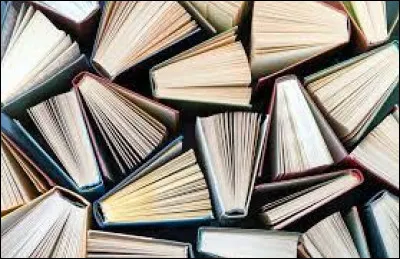 Quel est votre type de livres préféré ?