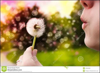 Quel est votre plus grand souhait ?