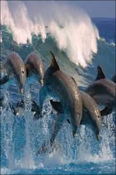 De quel film "Barbie" s'agit-il ?