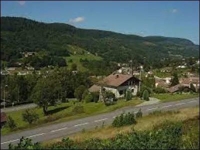 Quel est le nom des habitants de Saint-Maurice-sur-Moselle (Vosges) ?
