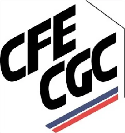 Ce syndicat s'adresse à une partie des salariés. Lesquels ?