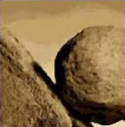 Quand vous voyez cette image,  quel groupe de rock anglais pensez-vous ?