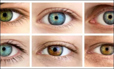 Quelle est ta couleur d'yeux ?