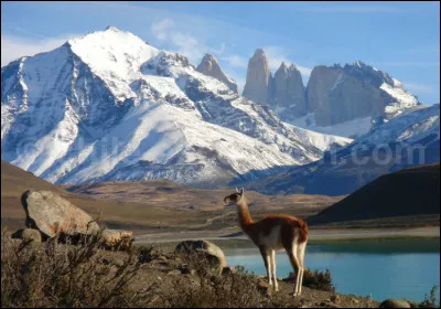 Pablo est heureux de citer quelques pays d'Amérique latine dont l'espagnol est la langue officielle :