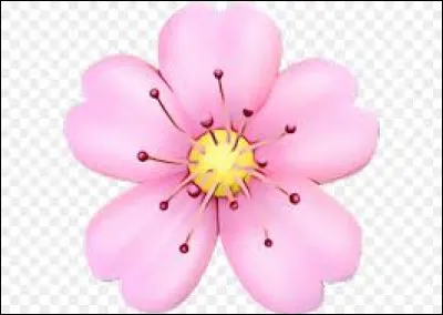 Choisis une fleur. (2)