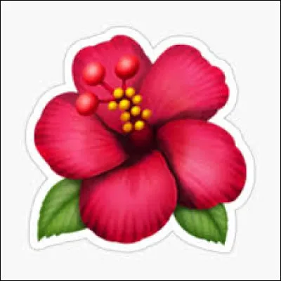 Choisis une fleur. (3)