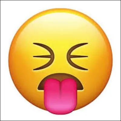 Quel est ton principal défaut ?