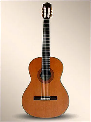 Quel est cet instrument ?