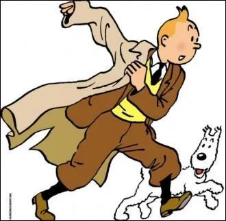 Comment s'appelle le chien de Tintin ?