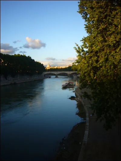 Où ont été abandonnés Romulus et Remus ?