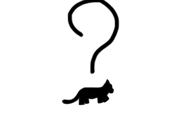 Quiz Animaux