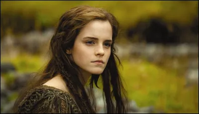 Comment se nomme ce film ?