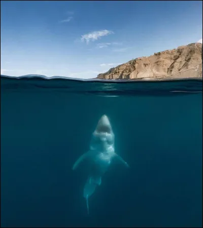 Quel est le plus dangereux ?