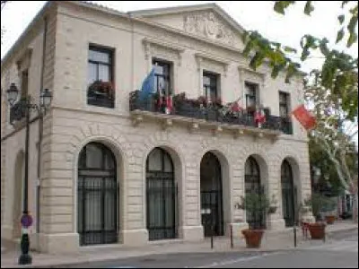 Quel est le nom des habitants de Saint-André-de-Sangonis (Hérault) ?