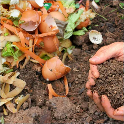 À quoi sert le compost ?