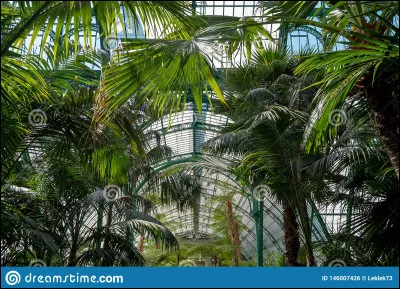 Un jour,tu vas parler à ton chef,Étoile de Fougères, et tu lui dis que ton apprenti est prêt à devenir guerrier. Ton chef ne te répond pas à ta question, mais te dis que bientôt Petit Serpent et Petit Tronc (les chatons d'Éclair Flamboyant et de ton frère) vont devnir apprenti. Que dis tu as ton chef ?