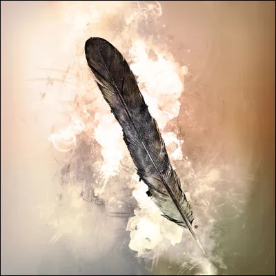 Tu es enfin guerrier/guerrière. Nuage de Secret devient Plume de Secret, Nuage de Pierre devient Jolie Pierre et toi Fleur d'Orchidée. Que fais-tu ?