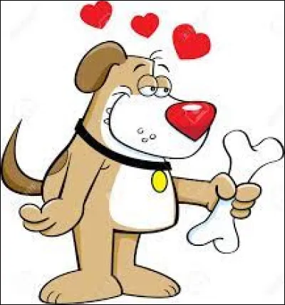 Quel est l�autre nom, plus connu, de l�os nomm&eacute; scapula ?