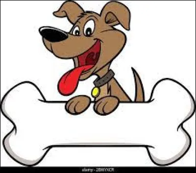 Il y a un os humain que tous les humains ne poss&egrave;dent pas forc&eacute;ment. Vrai ou faux ?