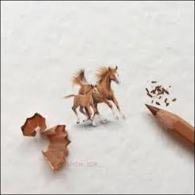 A votre avis, le plus petit squelette animal au monde appartient &agrave;... ?