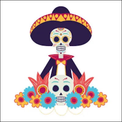 Le cr&acirc;ne humain est compos&eacute; de plusieurs os, dont le plus grand est �